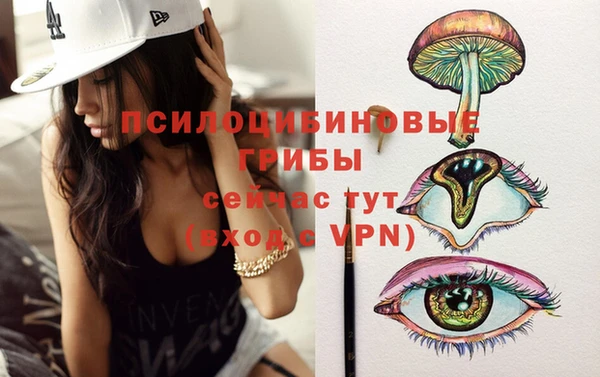 дживик Покачи