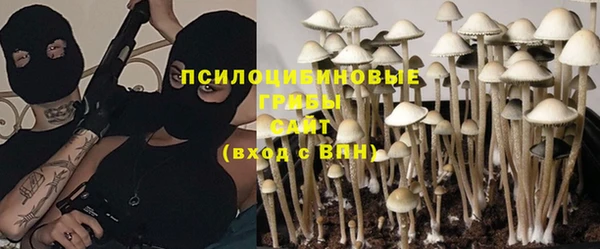 герыч Алексин